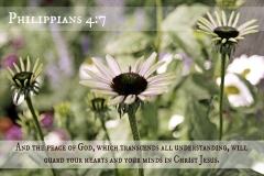bible-verse-w-graphics-by-me_9680369608_o-1