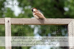 bible-verse-w-graphics-by-me_9680413850_o-1