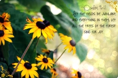 psalm-9612_14714652708_o