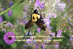 psalm119_1032-scripture-art-dacotahnetblog_35066498144_o