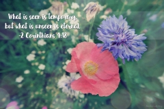 scripture-art-2-corinthians_43522648802_o