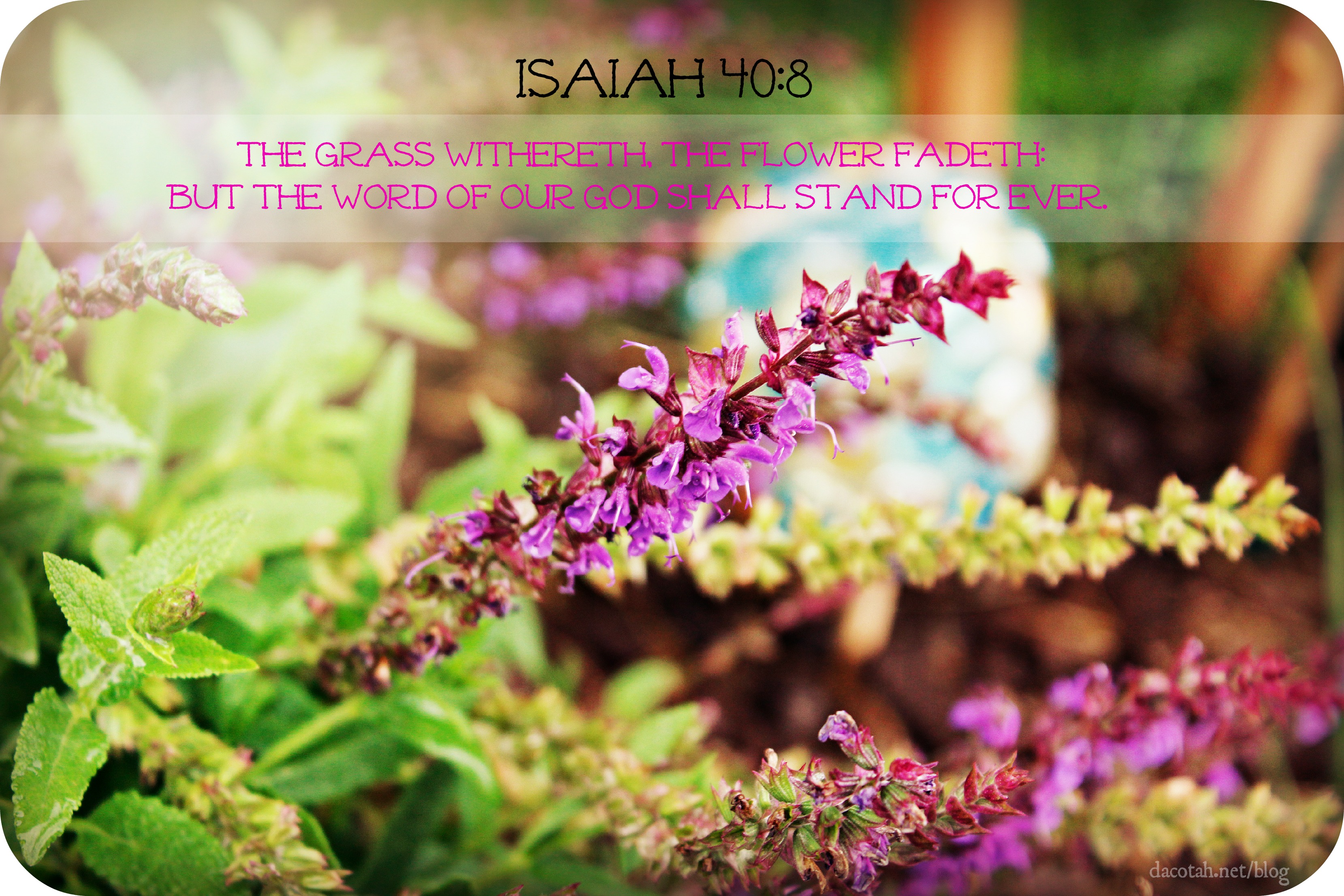 Bible Verse of the Day {8-26-13}