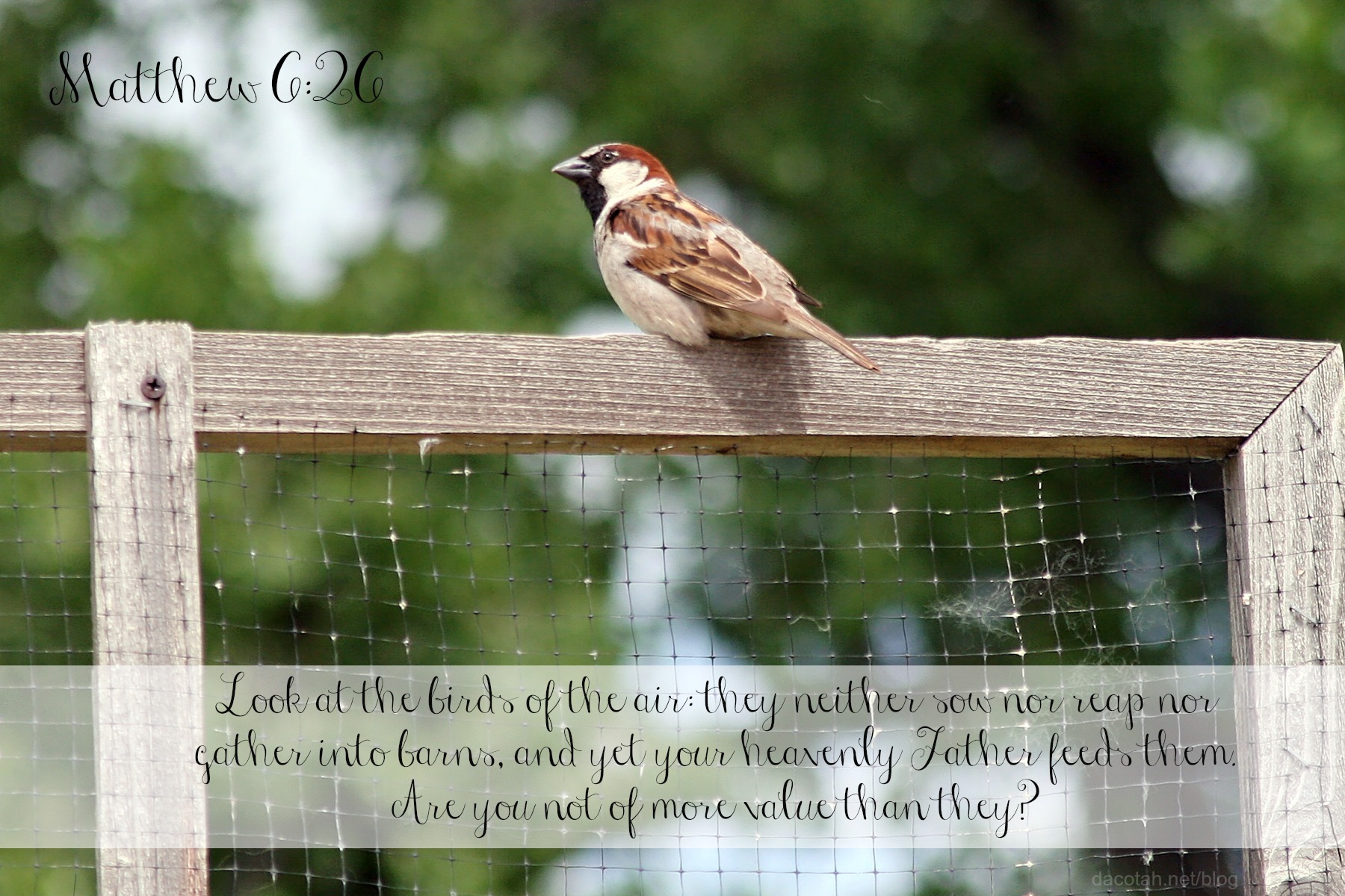Bible Verse of the Day {8-27-13}
