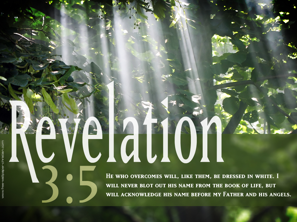 Bible Verse of the Day {8-17-13}