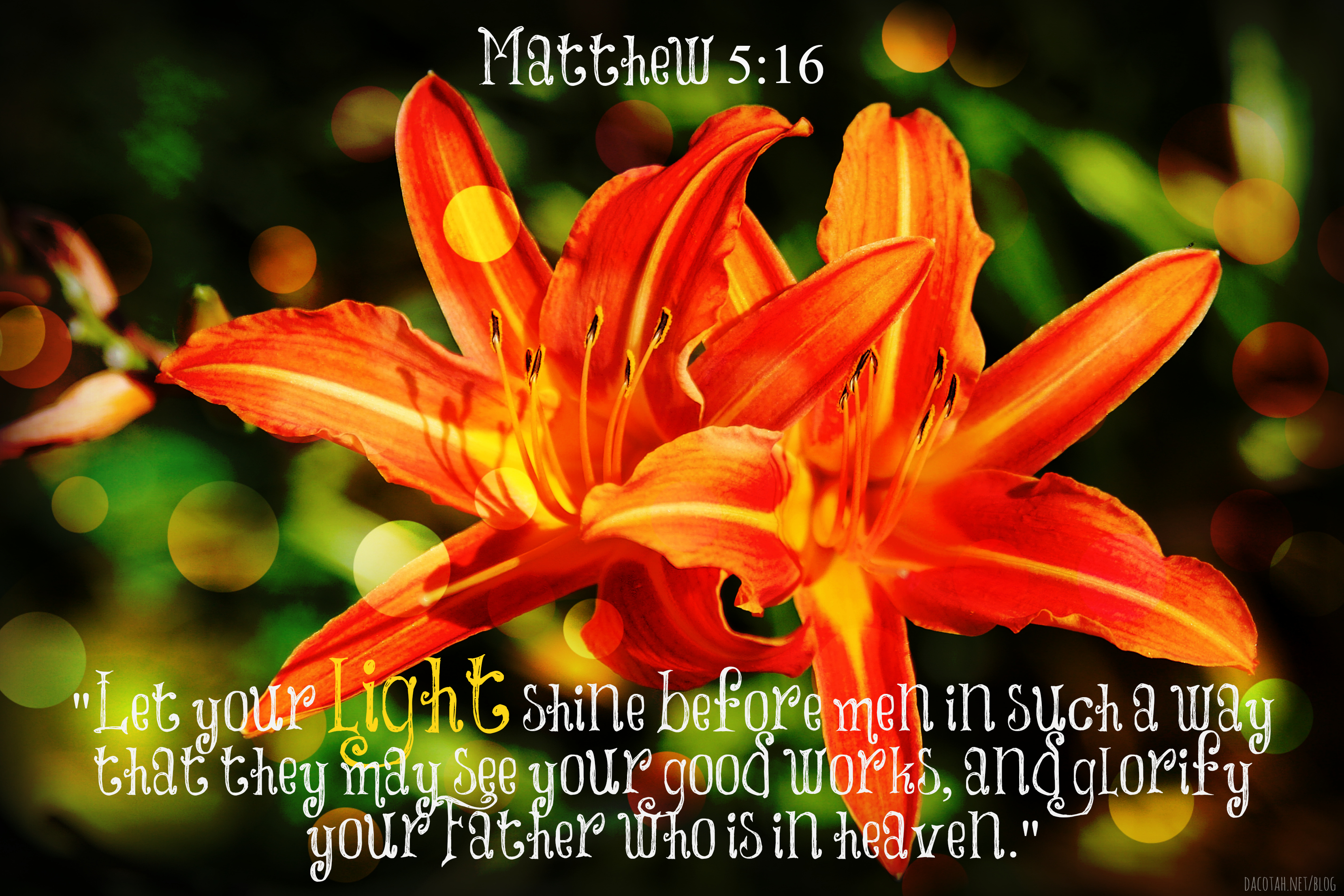 Bible Verse of the Day {9-7-13}