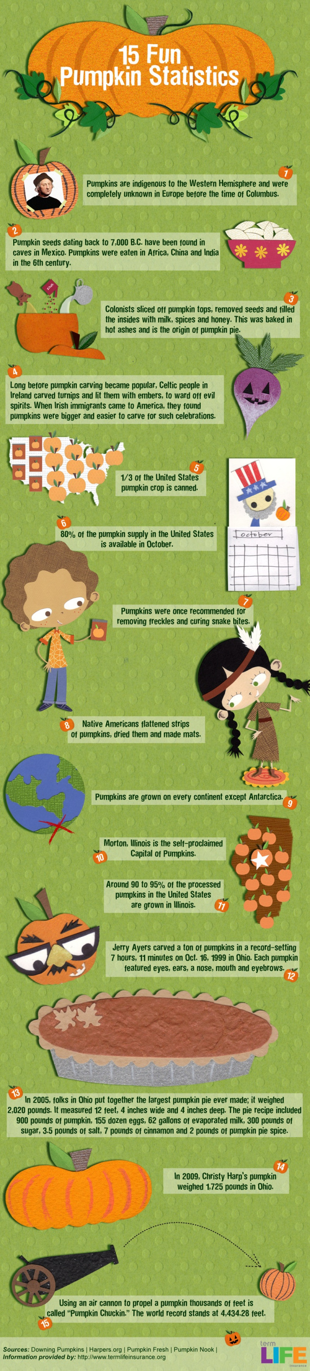 15 {fun} pumpkin statistics!