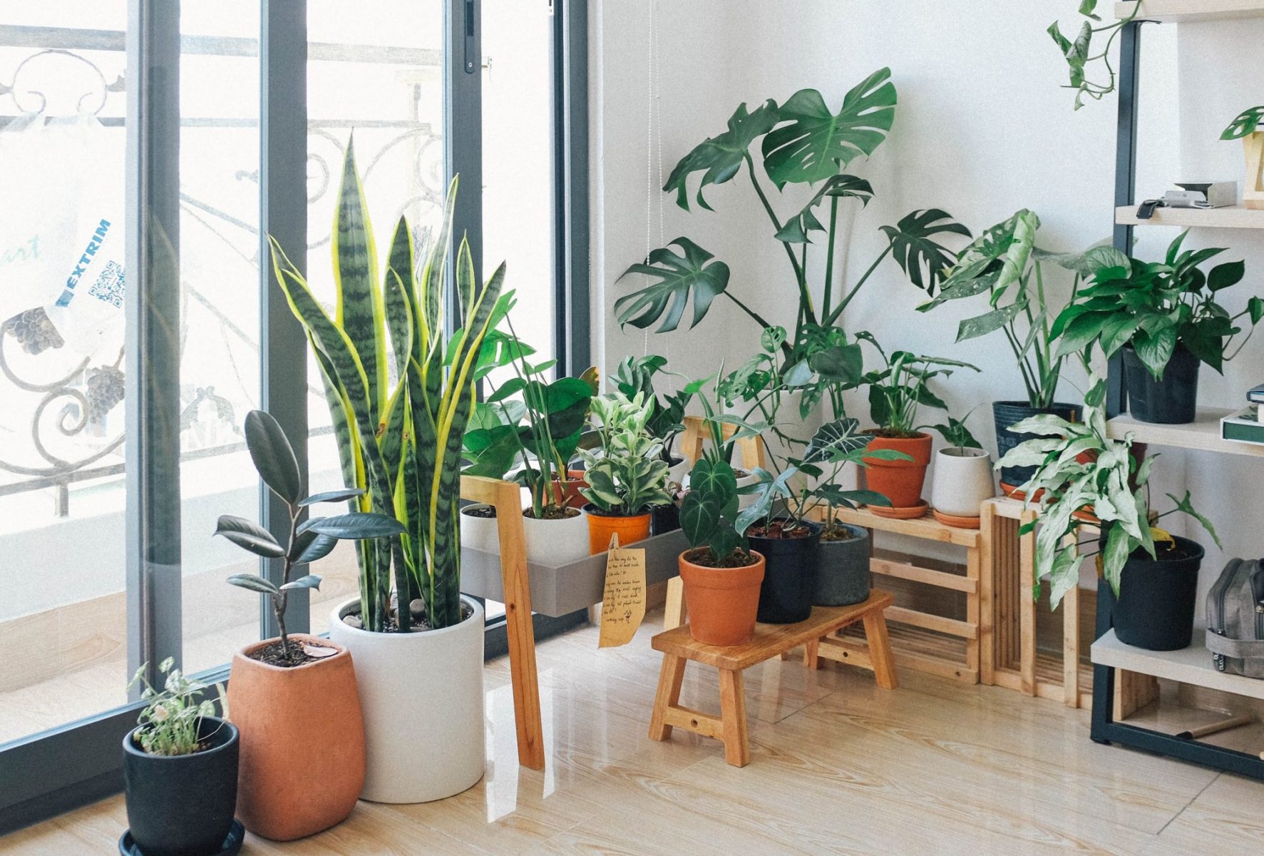 Create a Healthier Home