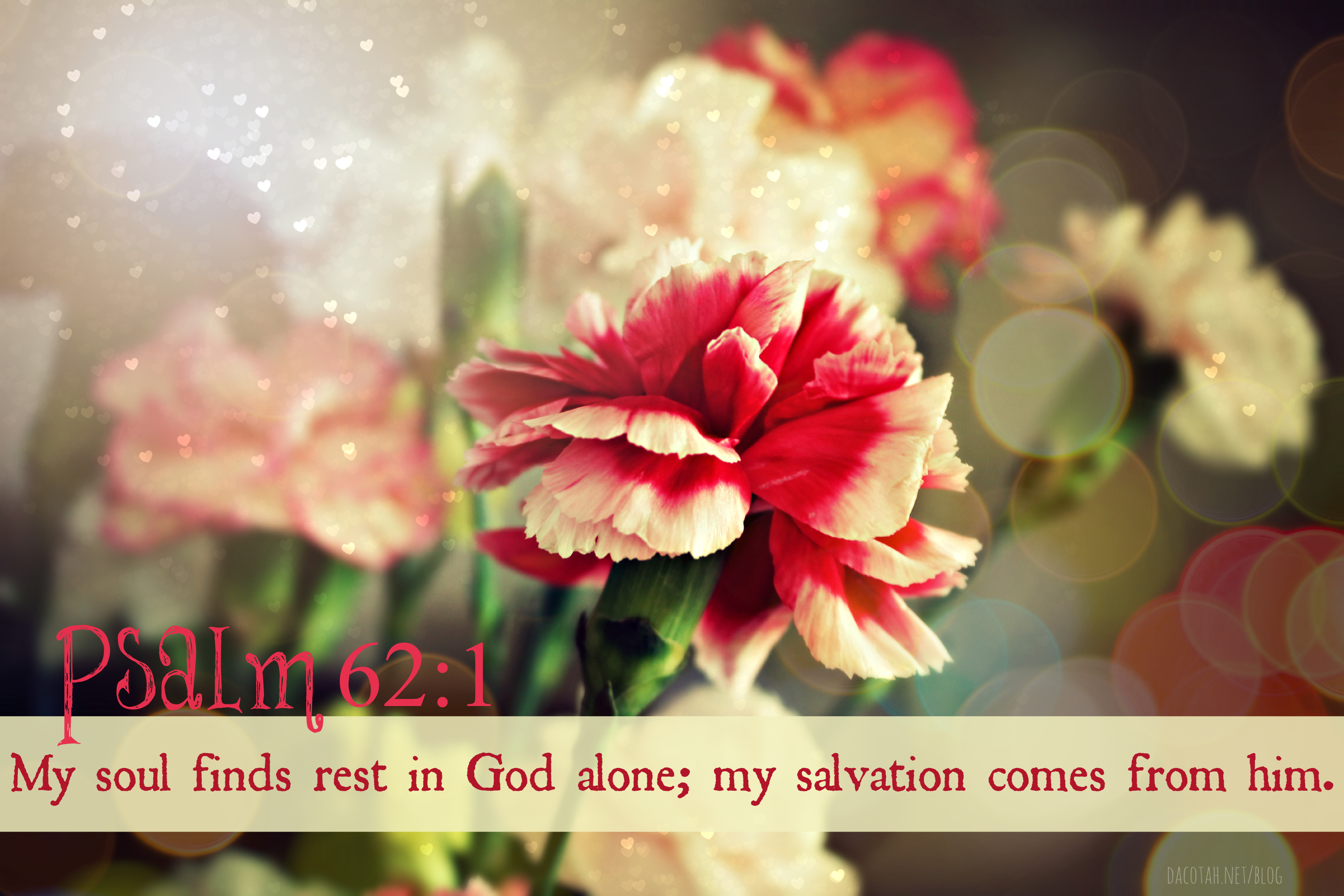 Bible Verse of the Day {9-6-13}