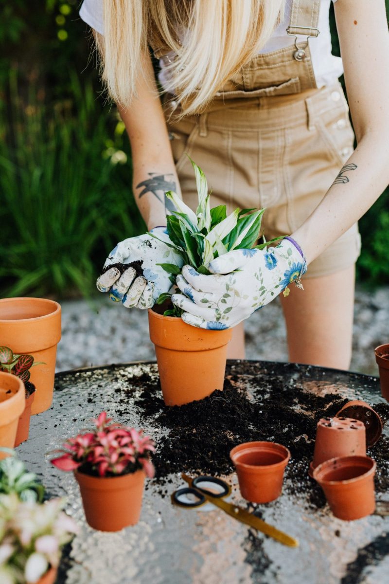 7 Safety Tips for Gardening in Summer