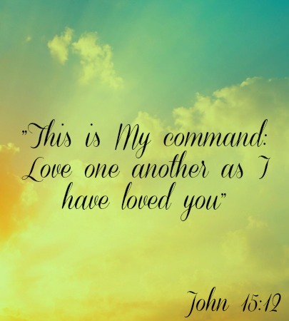 Bible Verse of the Day {8-25-13}