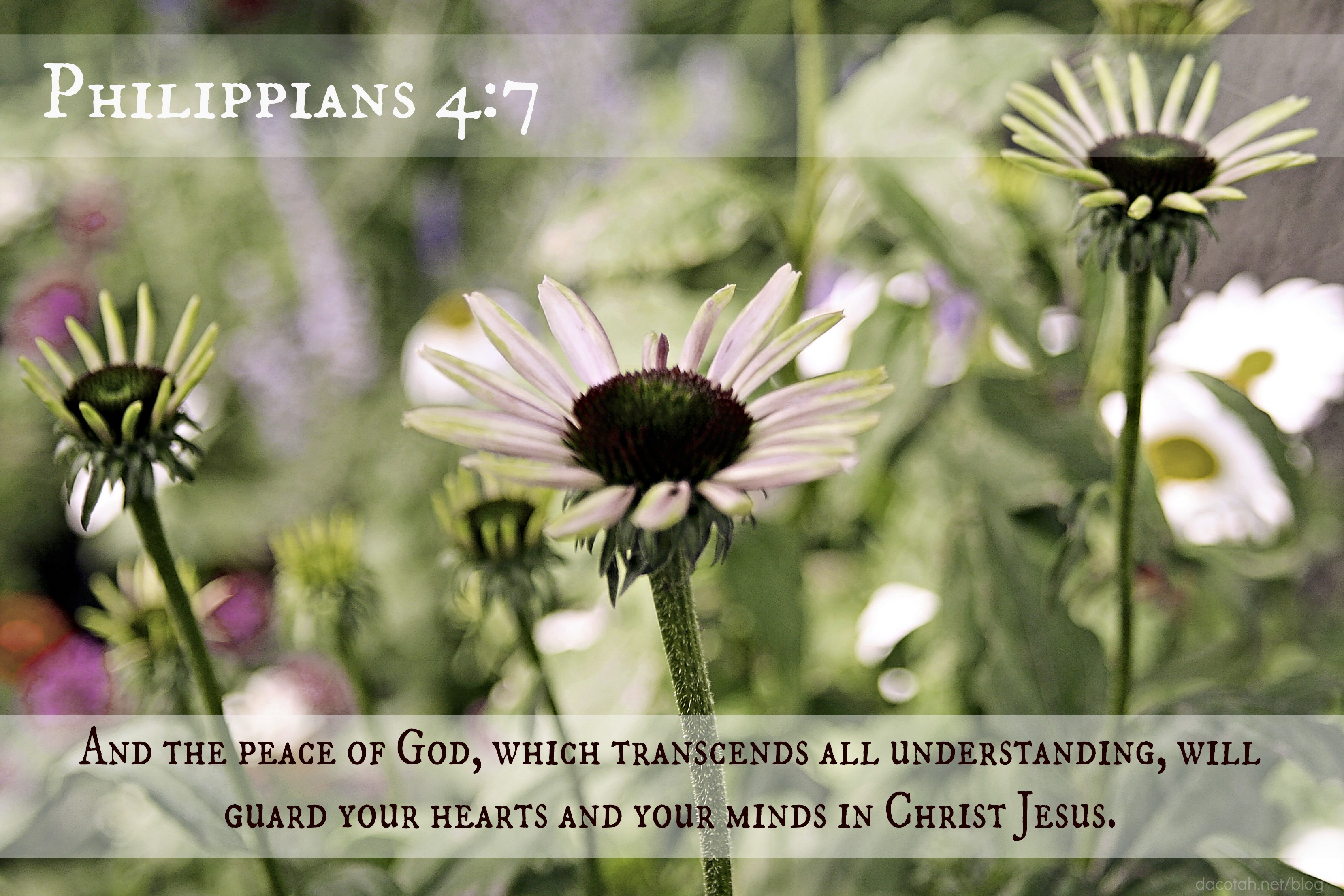 Bible Verse of The Day {8-24-13}