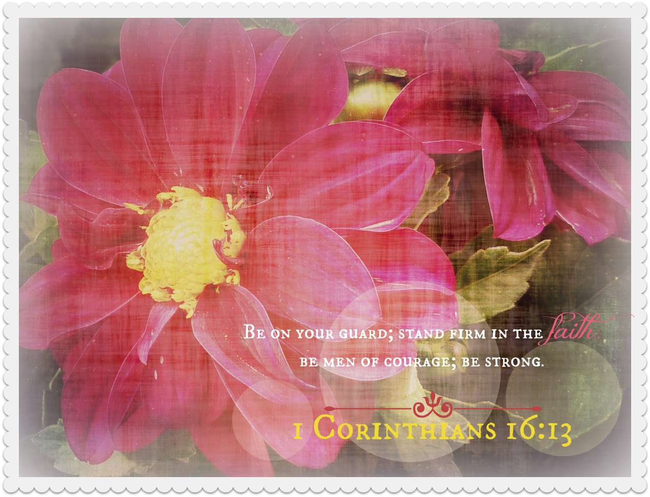 Bible Verse of the Day {9-20-13}